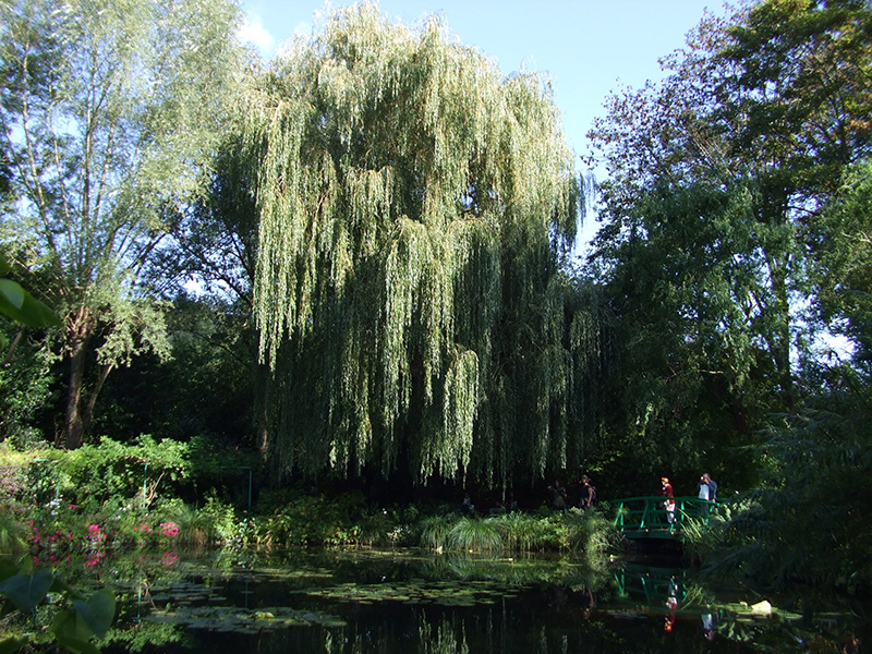 ジベルニー・モネの庭